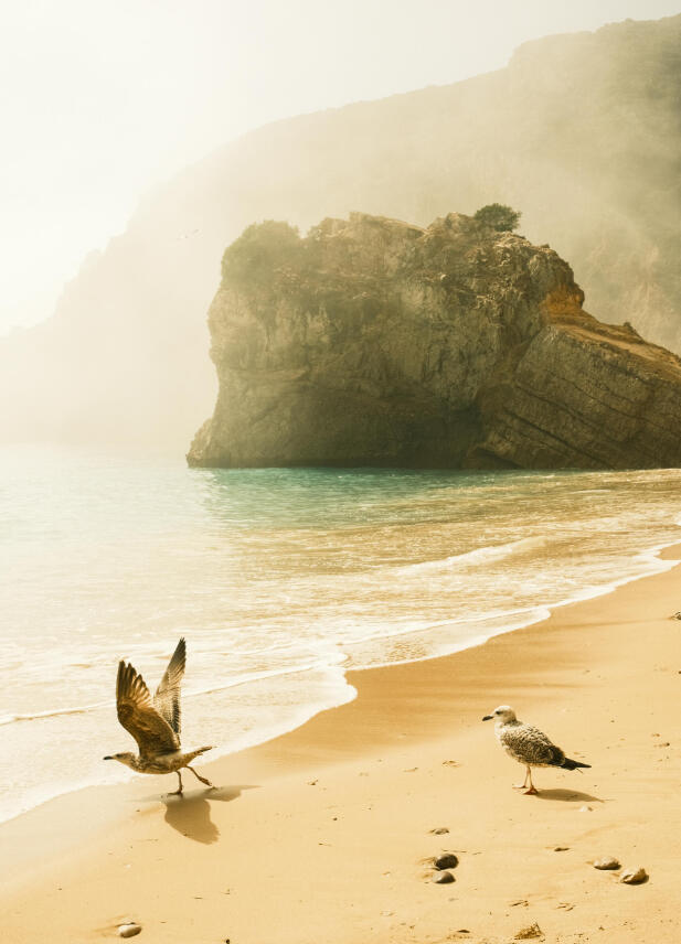 A3 Wall Print: Praia de Ribeiro do Cavalo (325x480mm)