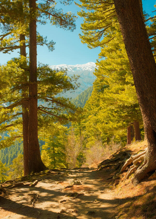 A3 Wall Print: Pelister in February (325x480mm)