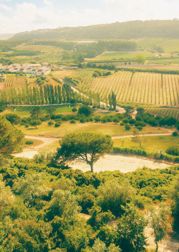 A3 Wall Print: Obidos Scenery (325x480mm)