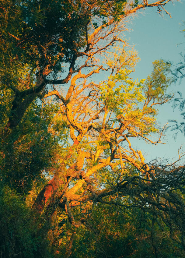 A3 Wall Print: Golden Hour in Pedorido (325x480mm)