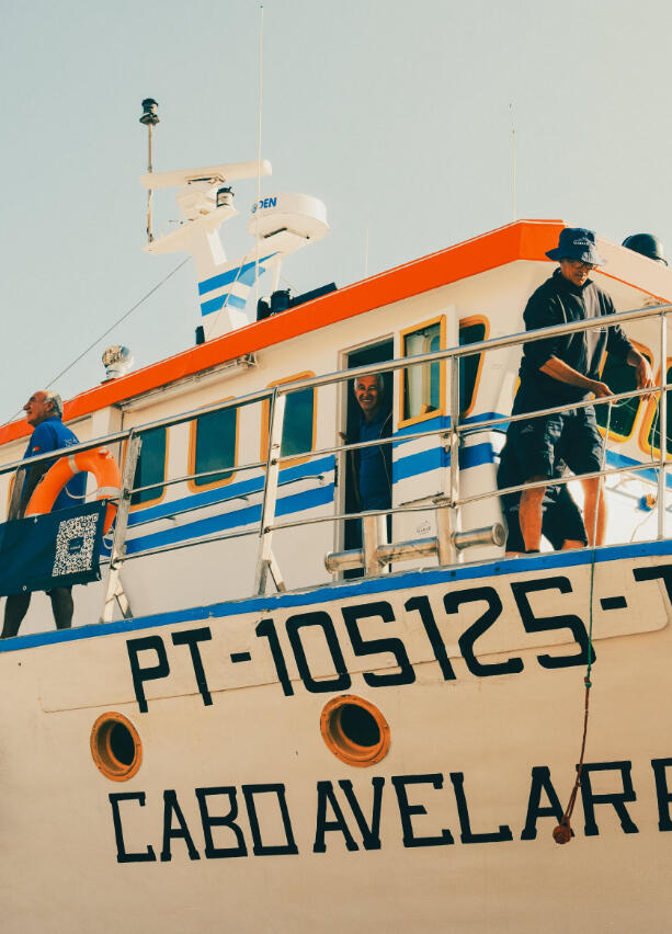 A3 Wall Print: All Aboard Cabo Avelara (325x480mm)